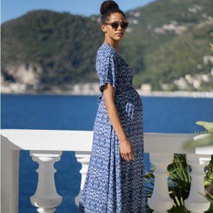 Seraphine maternity/nursing maxi dress